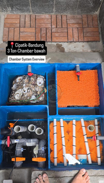 Chamber Cihampelas Cipatik, 0.432 Ton, 0.9m x 0.8m x 0.6m